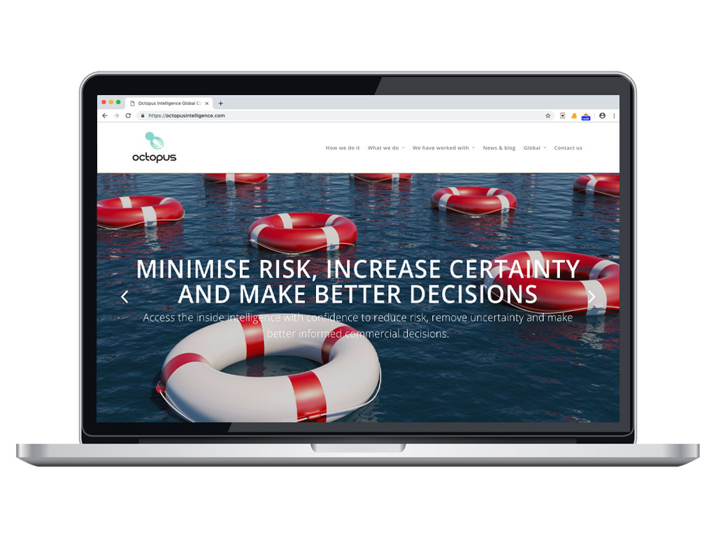 website design view on macbook floating life rings risk page for Octopus Intelligence creative work website design and marketing