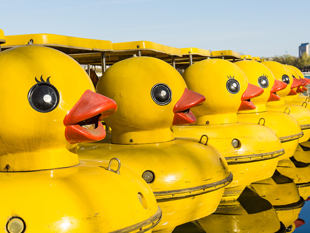 Engagement marketing to get your ducks all in a row