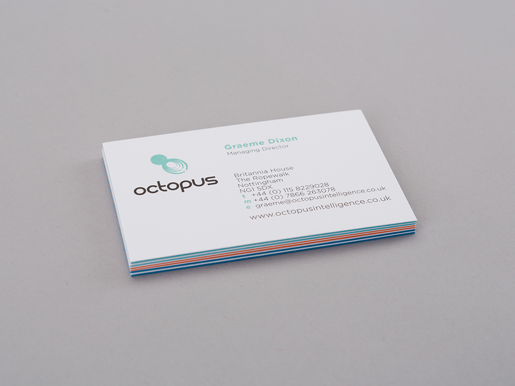 Octopus intelligence business card design back example creative work branding